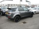 Discovery Sport 007.JPG