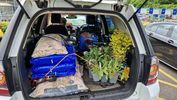 Garden Centre Load Freelander.jpg